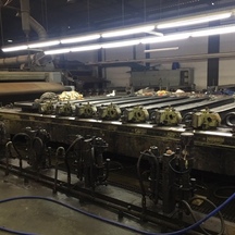 Rotary printing machine Reggiani, w.w. 3.00 m, 8 rolls, oil